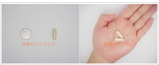 薬日本堂 酵素(Kou-so)の粒の大きさ・中身